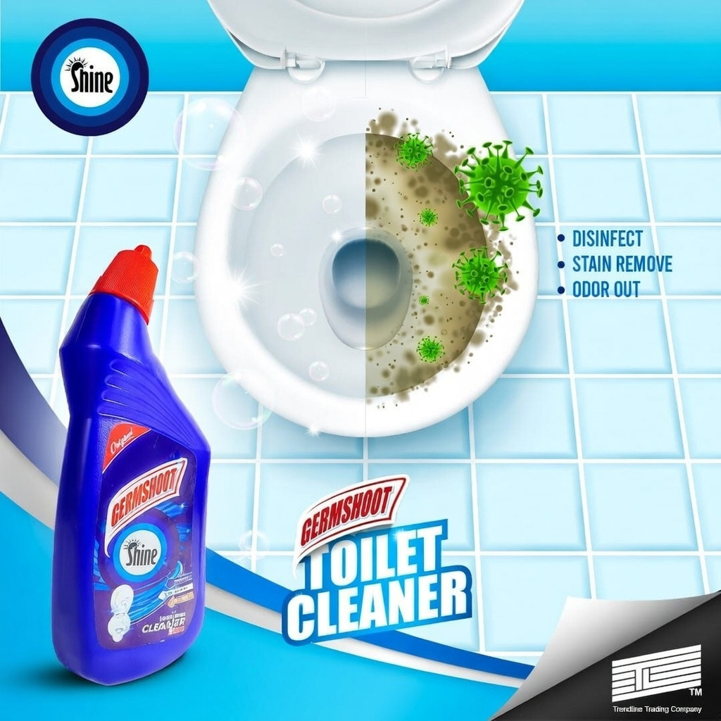 Toilet Cleaner (500ml)